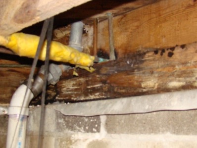 Crawl space moisture problems and solutions